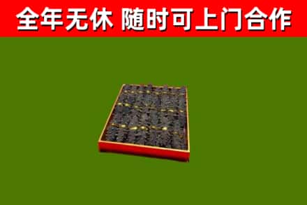 红旗区回收海参